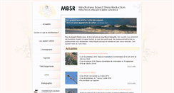 Desktop Screenshot of mbsr-france.net